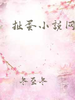扯蛋小说网