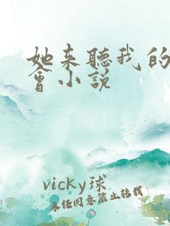 她来听我的演唱会小说