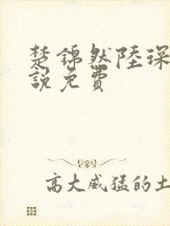 楚锦然陆琛年小说免费