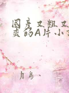 国产又粗又黄又爽的A片小说