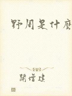 野周是什么意思