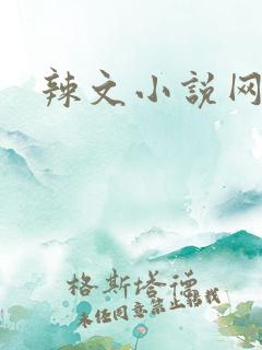 辣文小说网