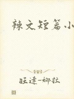 辣文短篇小说