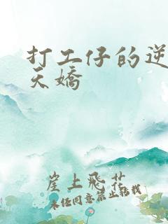 打工仔的逆袭楚天娇