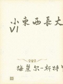 小东西长大了1V1