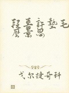 段嘉许垫毛巾什么意思