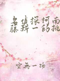 名侦探柯南给工藤新一的挑战书