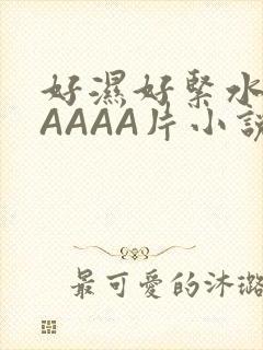 好湿好紧水多AAAAA片小说