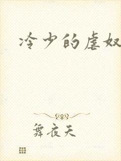 冷少的虐奴