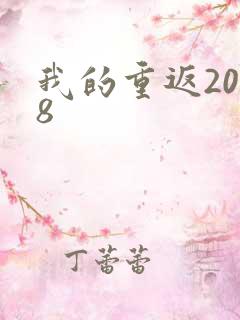 我的重返2008