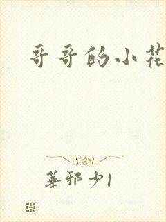 哥哥的小花妖
