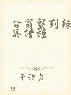 公翁系列辣文全集借种