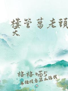 楼管葛老头的春天