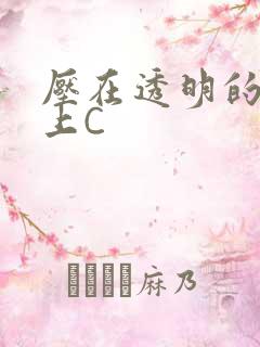 压在透明的玻璃上C