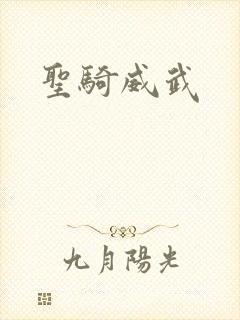 圣骑威武