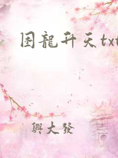 困龙升天txt