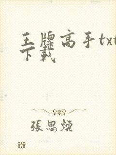 王牌高手txt下载