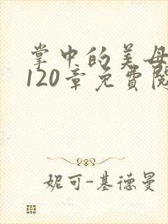 掌中的美母版主120章免费阅读