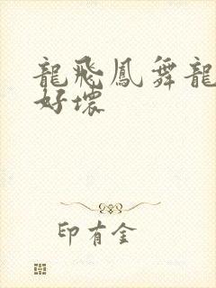 龙飞凤舞龙王你好坏