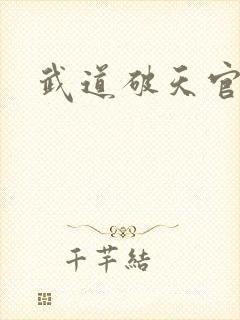 武道破天官网
