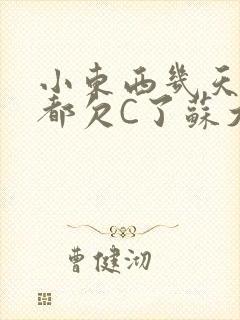 小东西几天没做都欠C了苏大深