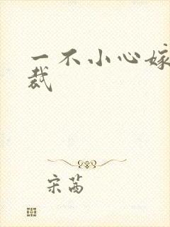 一不小心嫁给总裁