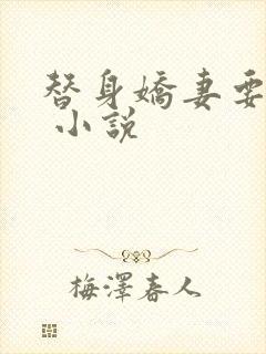 替身娇妻要离婚 小说