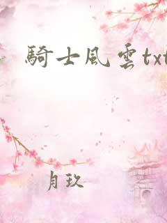 骑士风云txt