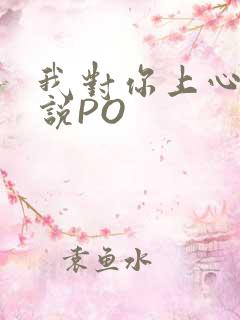 我对你上心了小说PO