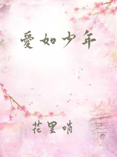 爱如少年