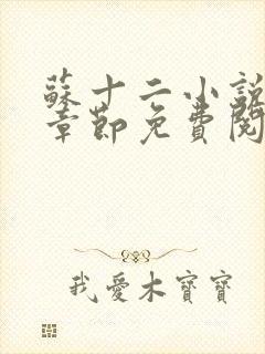 苏十二小说最新章节免费阅读全文