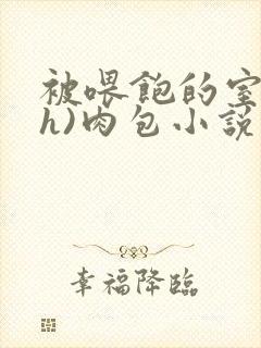 被喂饱的室友(h)肉包小说