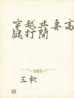 穿越共妻高肉双腿打开