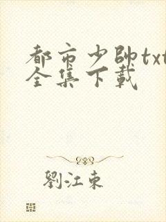 都市少帅txt全集下载