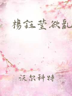 杨钰莹欲乱小说