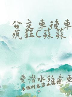 公交车后车座的疯狂C苏苏