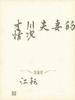 才川夫妻的恋爱情况