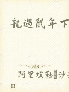 龙过鼠年下载