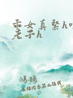 乖女真紧h嘶爽老子h