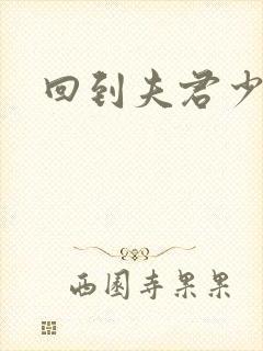 回到夫君少年时