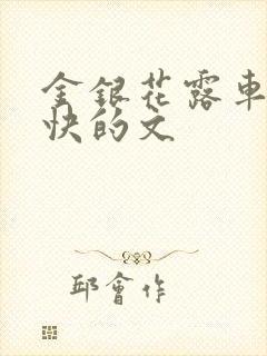 金银花露车速最快的文