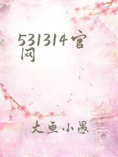 531314官网