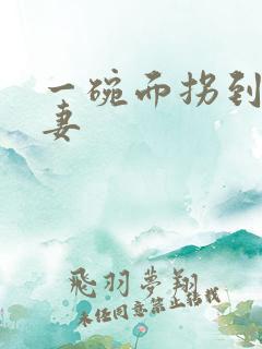 一碗面拐到美艳妻