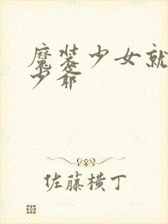 魔装少女就是本少爷