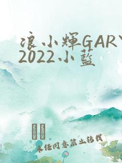 浪小辉GARY2022小蓝
