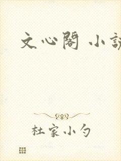 文心阁 小说