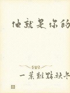 他就是你的新郎