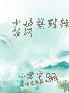 少妇系列辣文小说网
