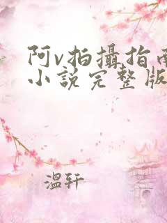 阿v拍摄指南说小说完整版