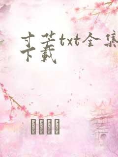 寸芒txt全集下载